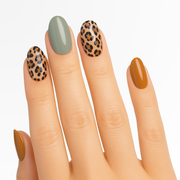 Leopardo