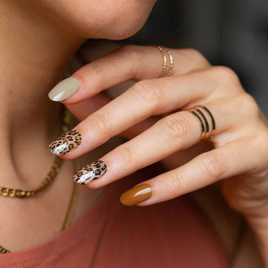 Leopardo
